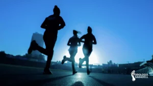 Lee más sobre el artículo Como iniciarse en el running y en el trail